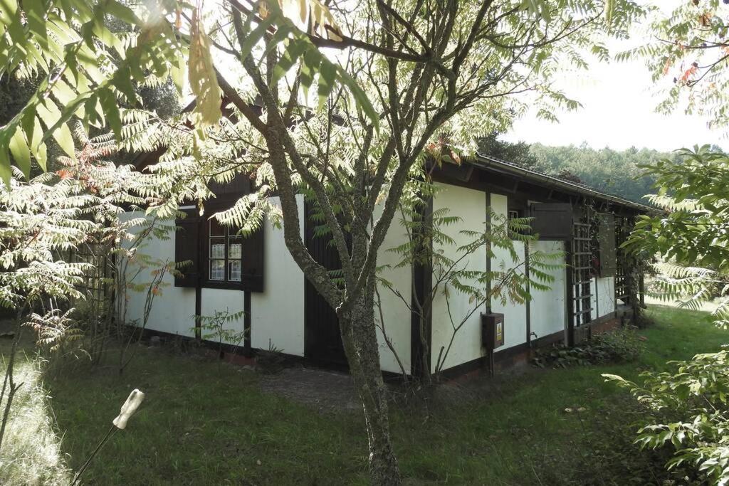 Modrzewiowy Domek Letniskowy - Stare Czaple Brodnica  Exterior photo